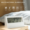Enviro Testers Temperature Hygrometer With Clock