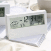 Enviro Testers Temperature Hygrometer With Clock