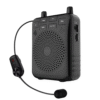 Wireless Voice Amplifier with Bluetooth, FM, Echo & 20W Output - Enviro Testers  