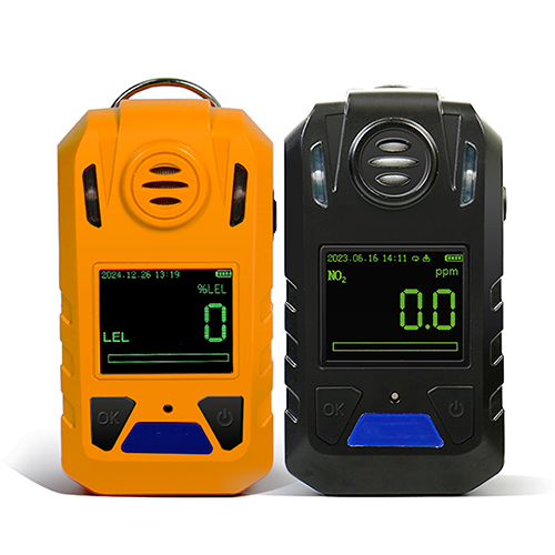 Portable Single Gas Detector with LCD Display and Alarm Function - Enviro Testers