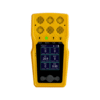 Enviro Testers Multi-Gas Detector and Alarm