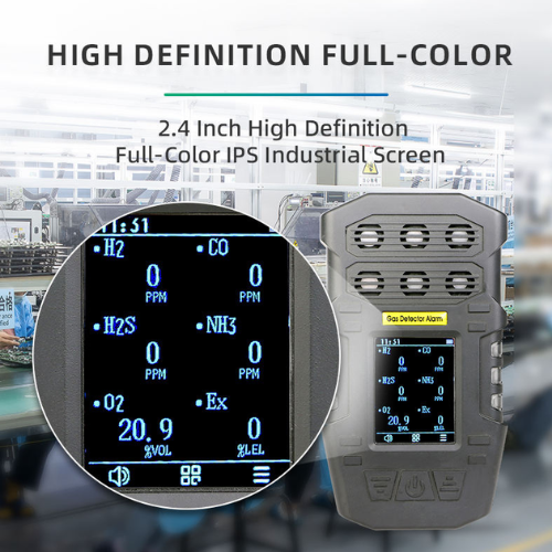 Handheld H₂S Gas Detector with Pump and Diffusion Sensor - Enviro Testers