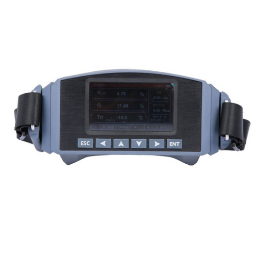 3 in1 Hydrogen H2 Gas Dew Point Detector with 0-100% Range - Enviro Testers