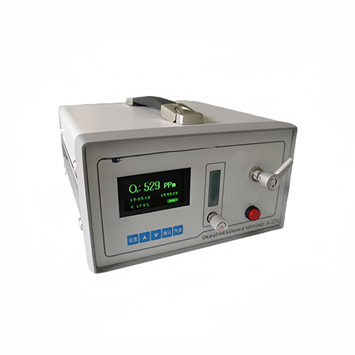 Portable Hydrogen H2 Gas Detector 0-4% Range Stainless Steel Housing - Enviro Testers