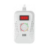 Dual Sensor Carbon Monoxide CH4 Gas Leak Detector with Alarm Valve Control - Enviro Testers
