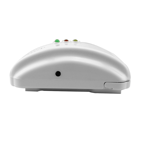 Wall-Mounted Combustible Gas Leak Detector With Alarm - Enviro Testers