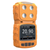 Enviro Testers 2 Gas Portable Multi Gas Detector