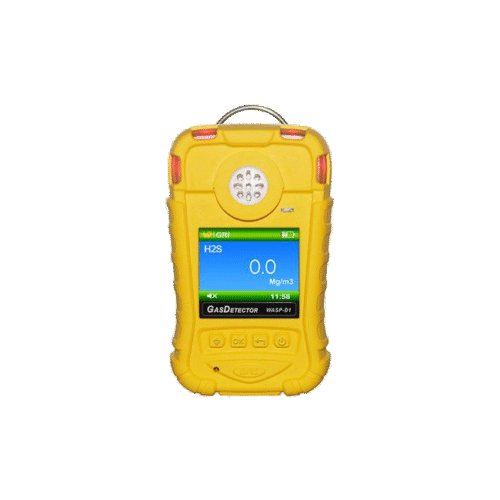 Hydrogen Sulfide Gas Detector (Storage, High Accuracy)