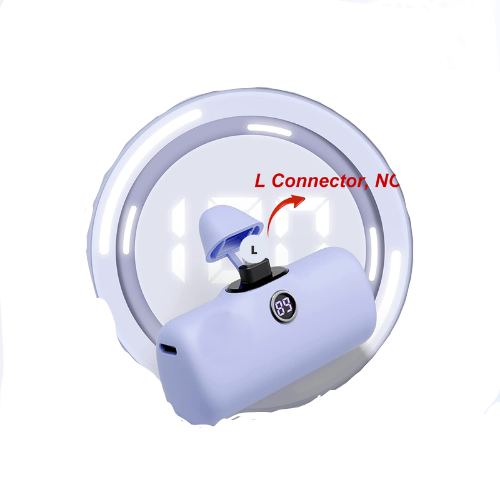 Mini Power Bank PD Fast Charging with Plug – Enviro Testers