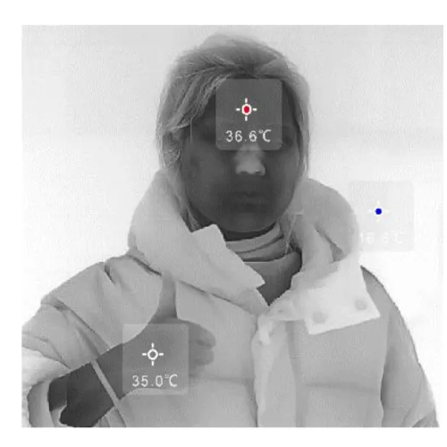 Enviro Testers Temperature Measuring Infrared Thermal Imager